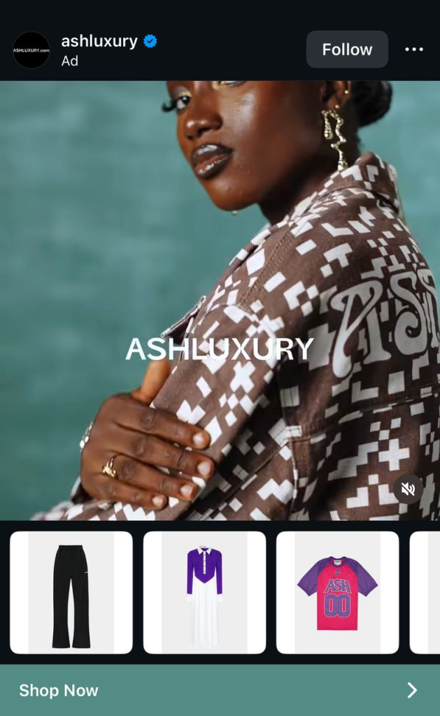 A Collection ad showing a hero brand video at the top with a product grid below, anchored by a Shop Now CTA.