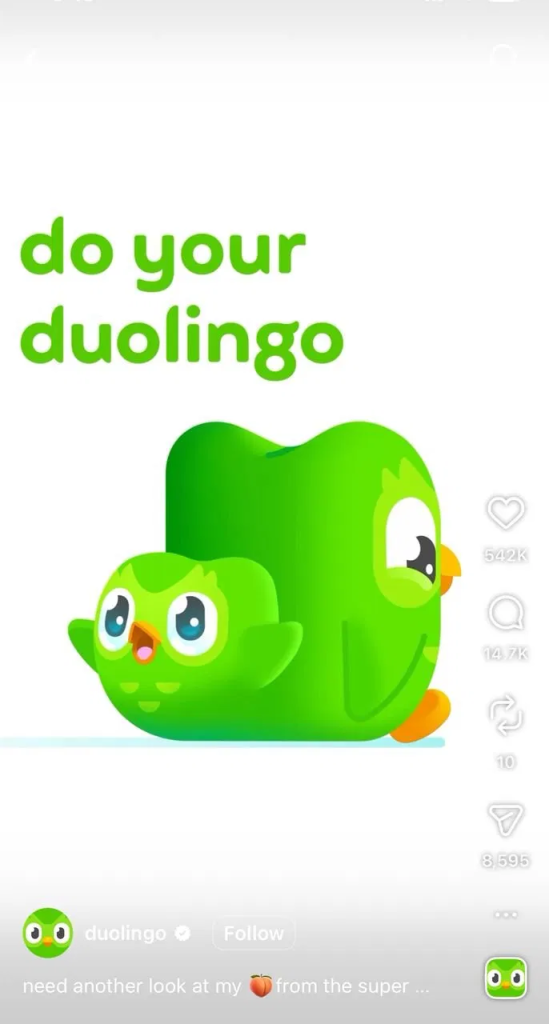 Duolingo's Instagram Reel showing its green owl mascot Duo with the bold text "do your duolingo," exemplifying the brand's playful, meme-driven ad style.