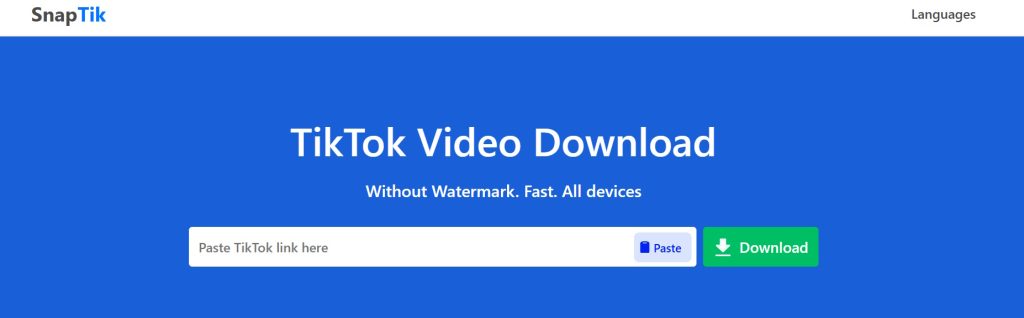 SnapTik homepage with a TikTok Video Download headline above a paste field and download button.