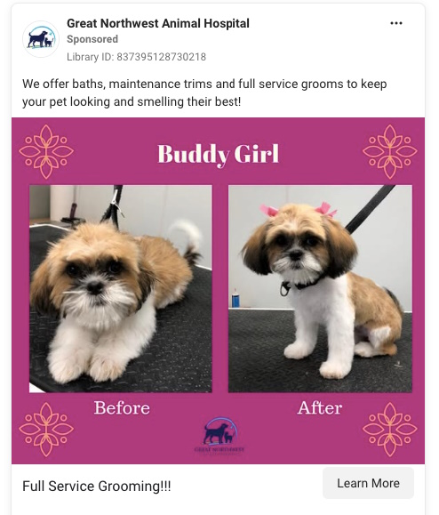 Screenshot of a before-and-after pet grooming photo ad. 