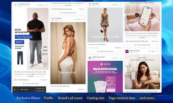Brandsearch interface showing multiple brand ad previews with exclusive filters for traffic, catalog size, and page creation date.
