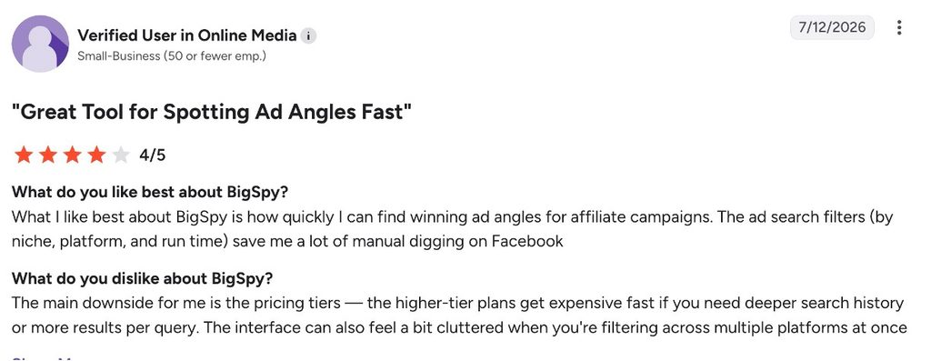 BigSpy review praising ad search filters while criticizing pricing tiers and a cluttered interface.