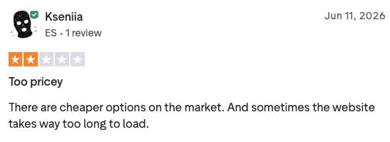 Screenshot of a user’s review for BigSpy.