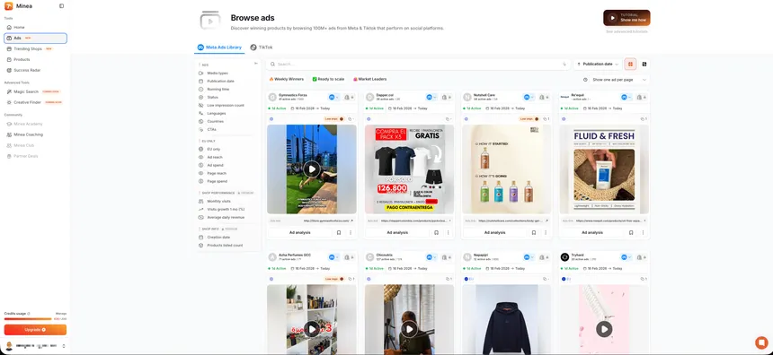 Minea dashboard displaying browsable Meta ads with product creatives, filters, and ad analysis options.