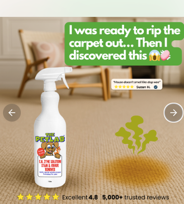 A pet odor and stain removal service ad showing a stained carpet. 