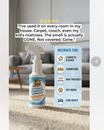 A carpet cleaning service ad featuring a 5-star review from a satisfied customer. 